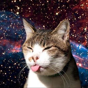 Meet your Posher, Joanne